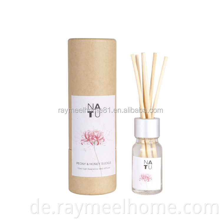 Mini 10 ml Glasflasche Home Duft Reed Diffusor Geschenk